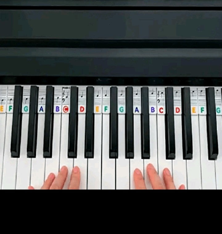 88-Key Silicone Piano Notes